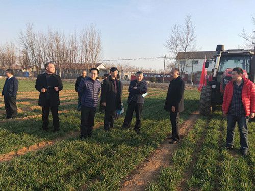 微信图片_2019030808512724_副本.jpg